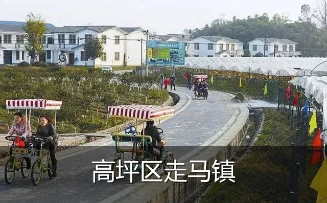 高坪区走马镇