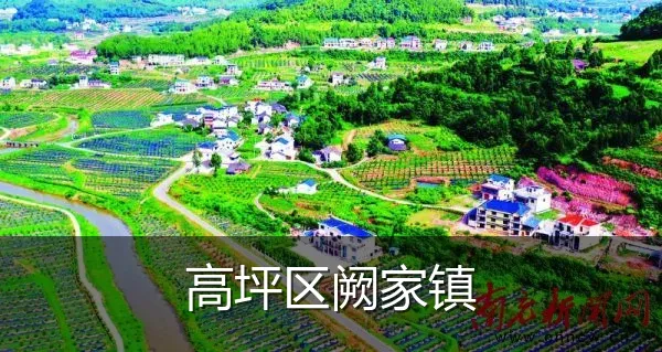 高坪区阙家镇